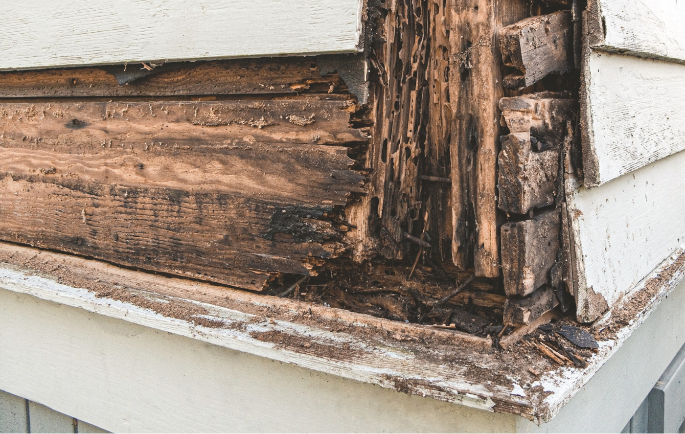 Houtrot Reparatie