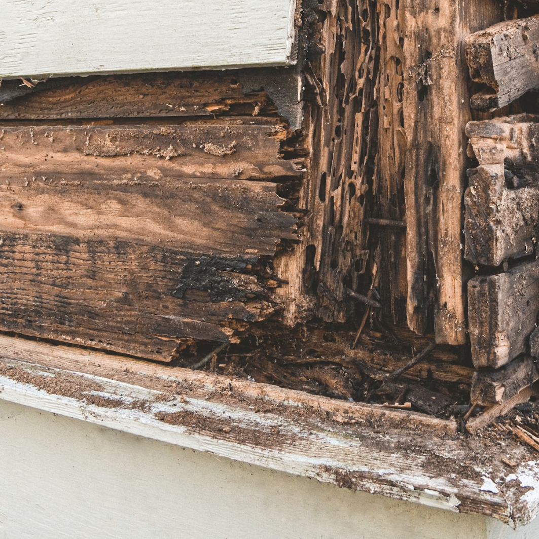 Specialistische reiniging